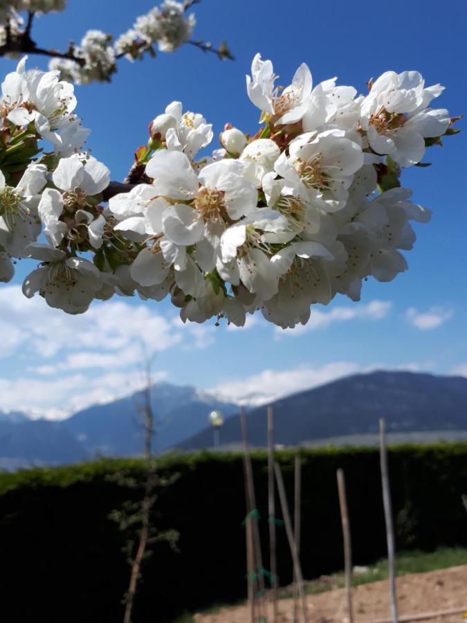 I Girasoli 桑泽诺 外观 照片