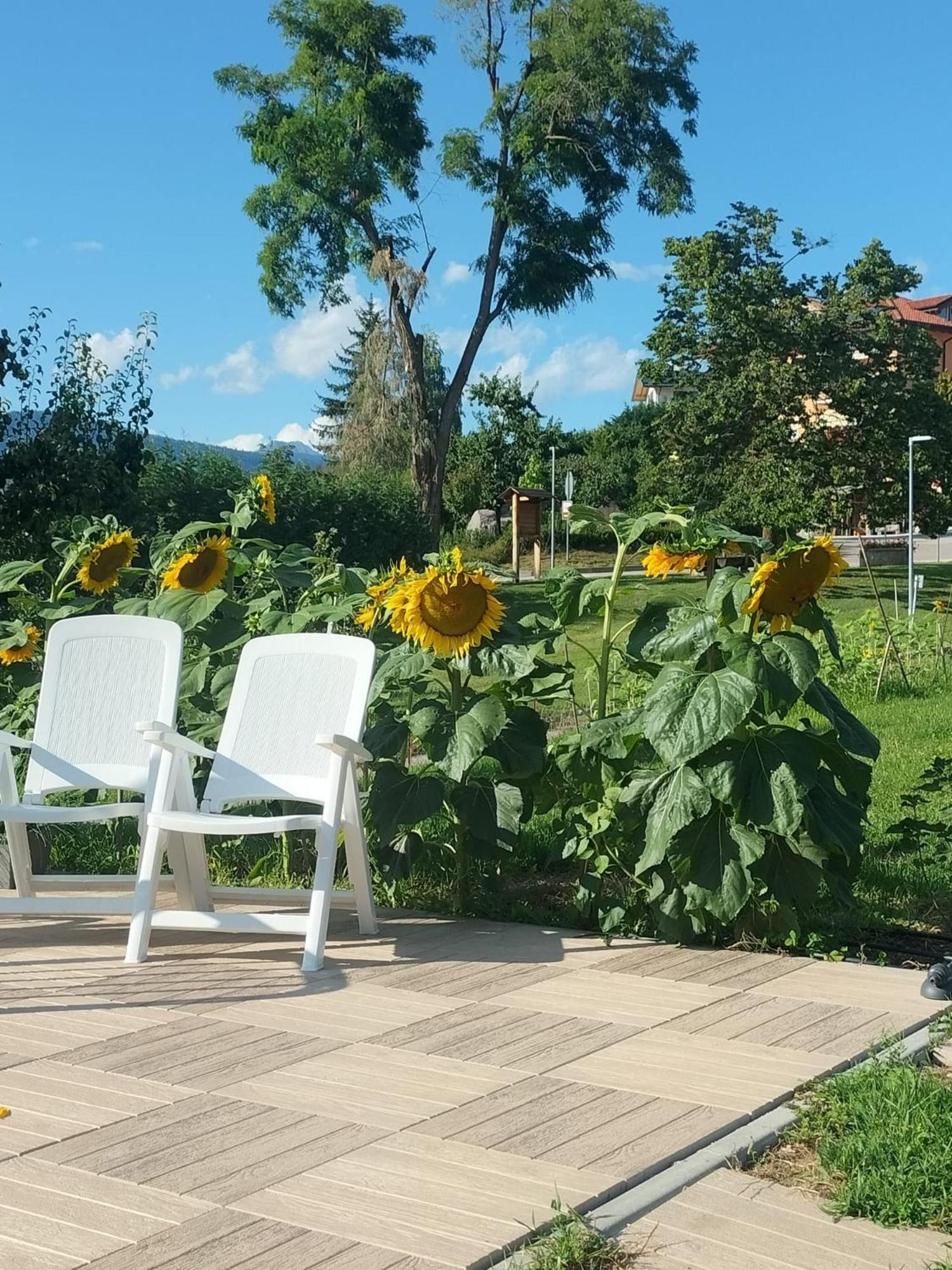 I Girasoli 桑泽诺 外观 照片
